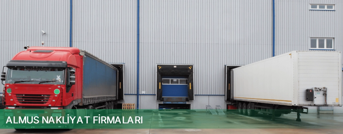 Almus Nakliyat Taşımacılık Almus Nakliyat Taşımacılık